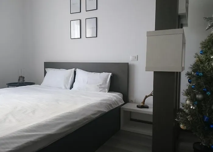 Suite Life Brasov